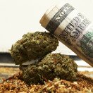 Surprise, Surprise: Marijuana Legalization Makes Weed Cheaper 